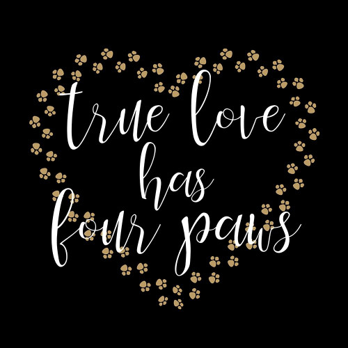 True Love Paws by Kimberly Allen (24 x 24)