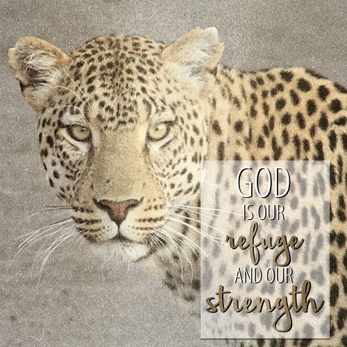 God Is Our Refuge Leopard by Kimberly Allen (24 x 24)