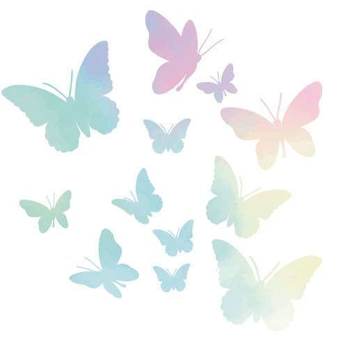 Butterflies by Kimberly Allen (24 x 24)