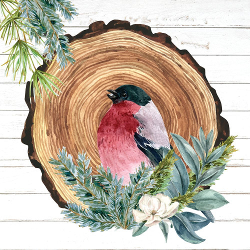 Winter Birds 3 by Kimberly Allen (24 x 24)