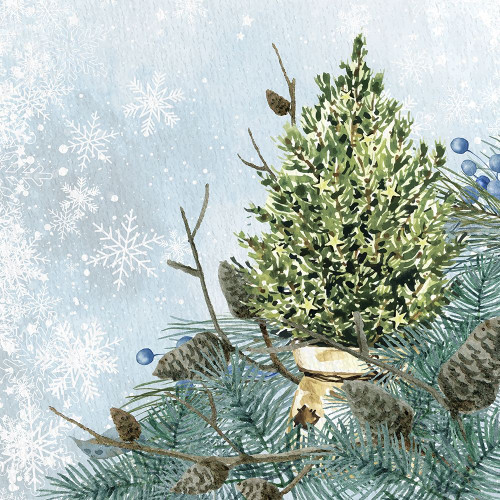 Winter Owl 4 by Kimberly Allen (24 x 24)