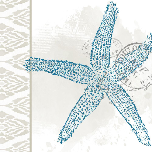 By the Sea 5 by Kimberly Allen (12 x 12)