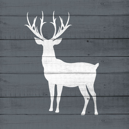 Lake House 7 by Kimberly Allen (24 x 24)