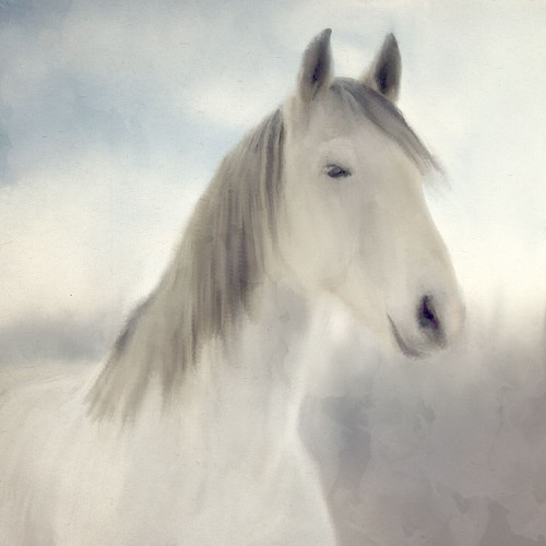 Serene by Kimberly Allen (12 x 12)