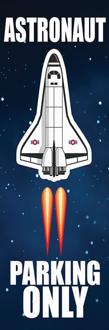 Space 1 by Kimberly Allen (8 x 24)