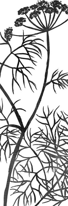 Botanical Panel 3 by Kimberly Allen (8 x 24)