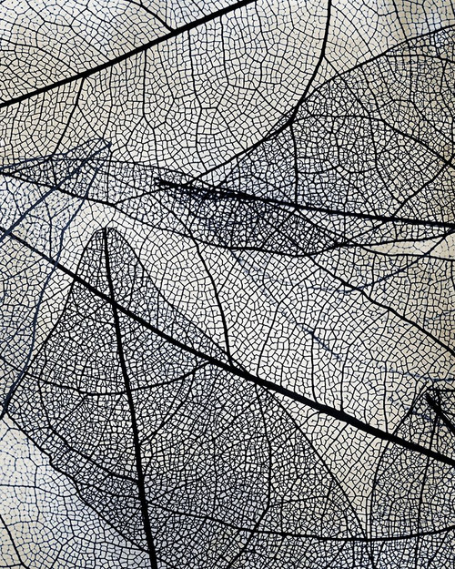 Transparent 3 v2 by Kimberly Allen (18 x 24)