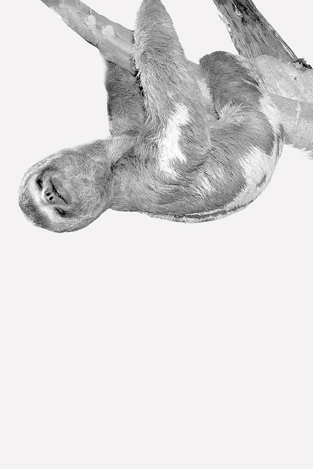 Quirky Sloths 3 by Kimberly Allen (18 x 24)