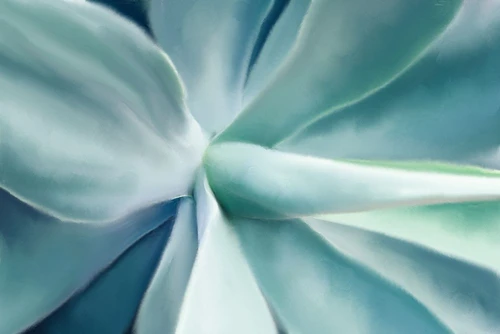 Agave by Kimberly Allen (24 x 18)