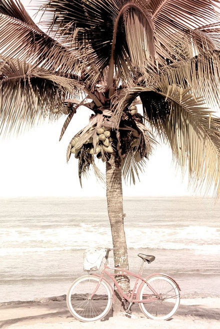 Beach Ride by Kimberly Allen (18 x 24)