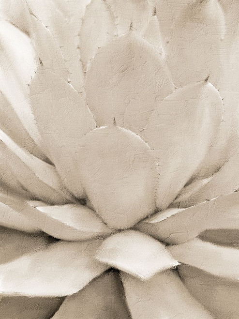 Agave Neutral 1 by Kimberly Allen (18 x 24)