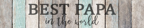 Best Papa by Kimberly Allen (24 x 5)