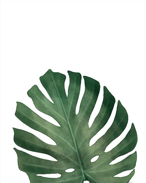 Palms 2 by Kimberly Allen (18 x 24)