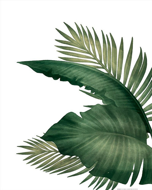 Palms 3 by Kimberly Allen (18 x 24)