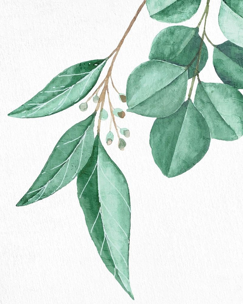 Greens 4 by Kimberly Allen (18 x 24)