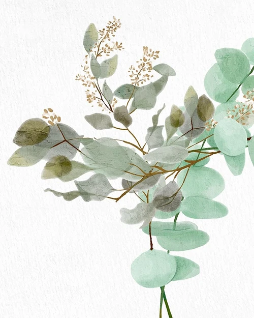 Eucalyptus 1 by Kimberly Allen (18 x 24)