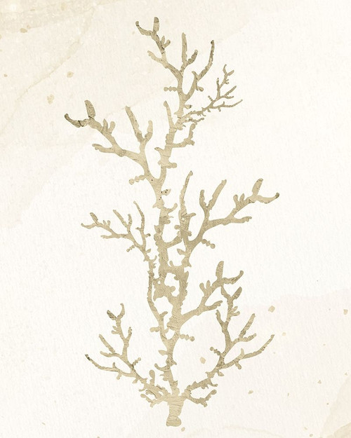 Coral Hue 1 by Kimberly Allen (18 x 24)