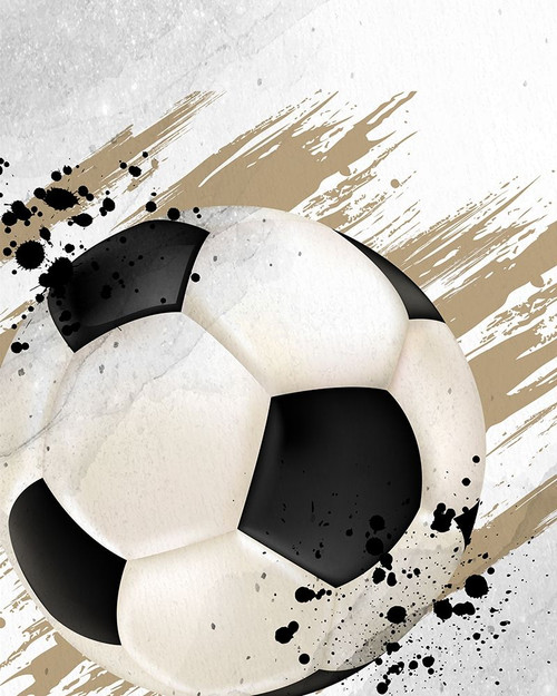 Sport Life 1 by Kimberly Allen (18 x 24)