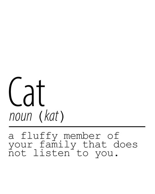 Cat Noun by Kimberly Allen (18 x 24)