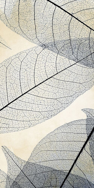 Transparent Leaves 1 by Kimberly Allen (12 x 24)