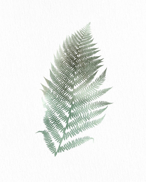 Watercolor Greens 2 by Kimberly Allen (18 x 24)