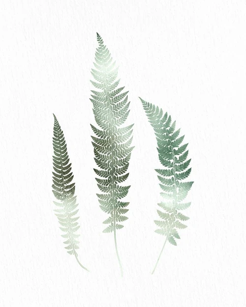 Watercolor Greens 3 by Kimberly Allen (18 x 24)