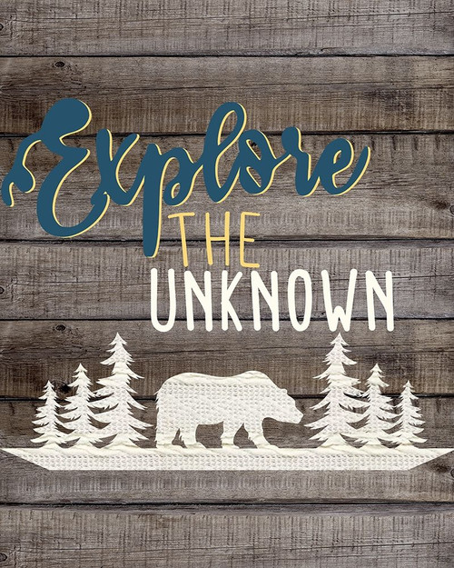 Wild Adventure 2 by Kimberly Allen (18 x 24)