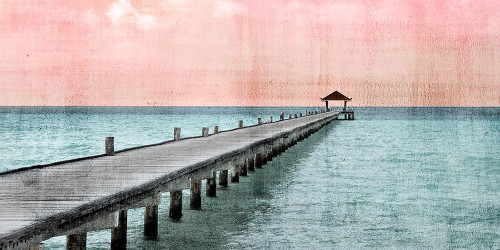 Paradise Pink by Kimberly Allen (24 x 12)