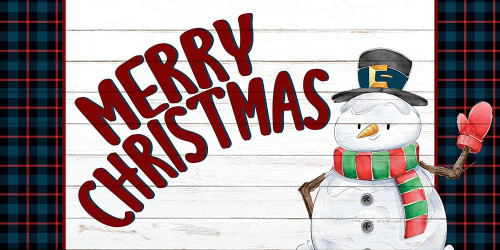 Merry Christmas Snowman by Kimberly Allen (24 x 12)