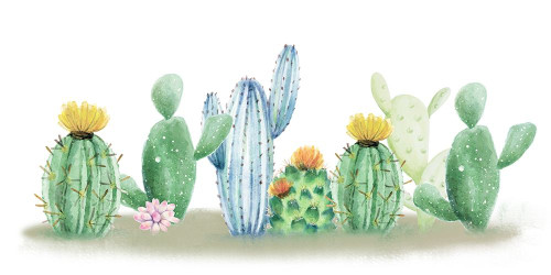 Cactus Dreaming by Kimberly Allen (24 x 12)