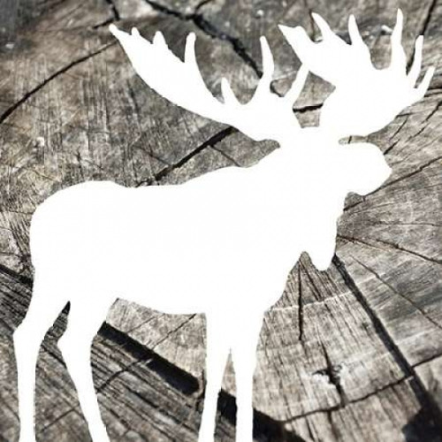Wood Moose Reverse Poster Print by Jace Grey (12 x 12)
