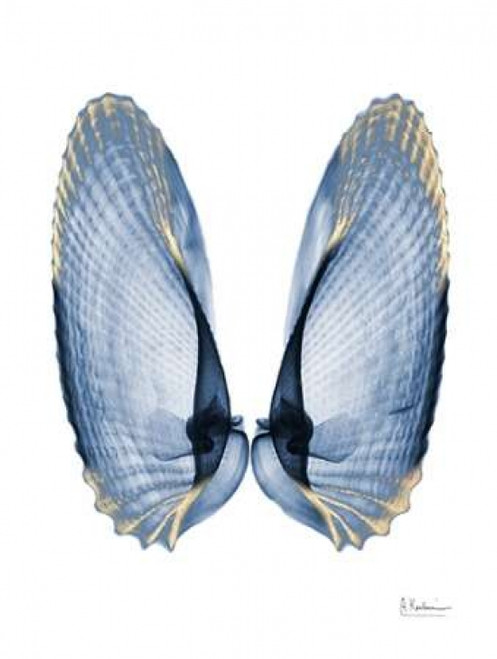 Golden Crusted Angel Wings Poster Print by Albert Koetsier (9 x 12)