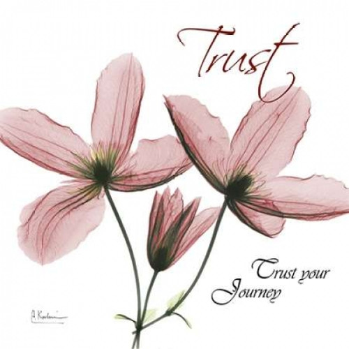 Journey Clematis Poster Print by Albert Koetsier (12 x 12)