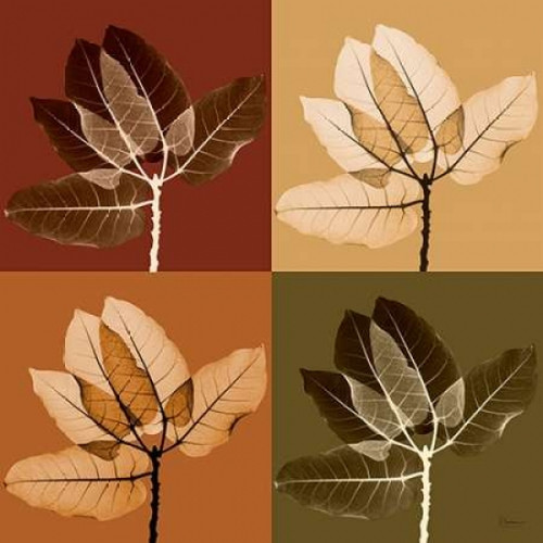 Harvest Leaves 1 Poster Print by Albert Koetsier (12 x 12)