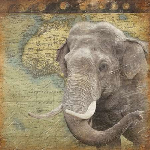 Elephant Travel Poster Print by Jace Grey (12 x 12)