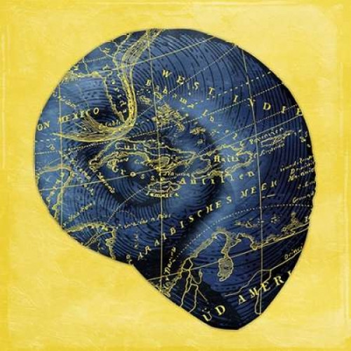 Map Shell 2 Y Indigo Poster Print by Jace Grey (12 x 12)