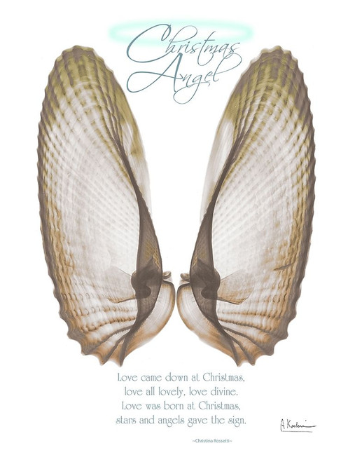 Christmas Morning Wings Poster Print by Albert Koetsier (12 x 9)