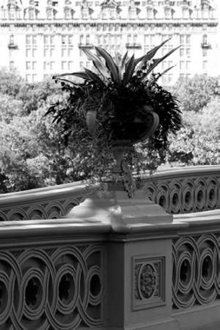 Central Park Bridge 5 Poster Print by Jace Grey (12 x 18)