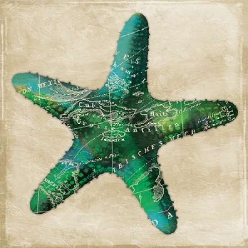 Map Starfish Poster Print by Jace Grey (12 x 12) Map Starfish Poster Print by Jace Grey (12 x 12)