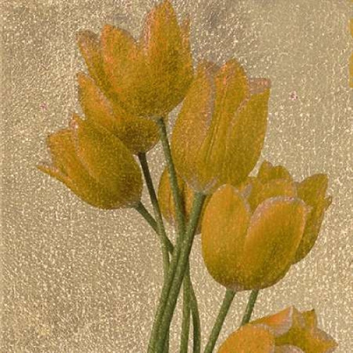 OSCAR GOLD A1 Poster Print by Taylor Greene (12 x 12)