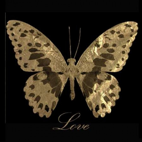 Love Gold Butterfly Poster Print by Taylor Greene (12 x 12)
