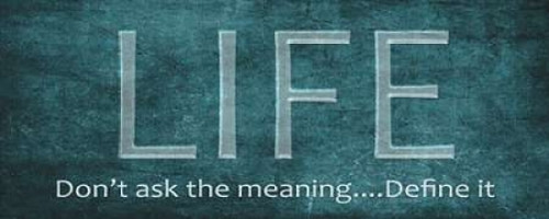 Life Poster Print by Taylor Greene (10 x 20)