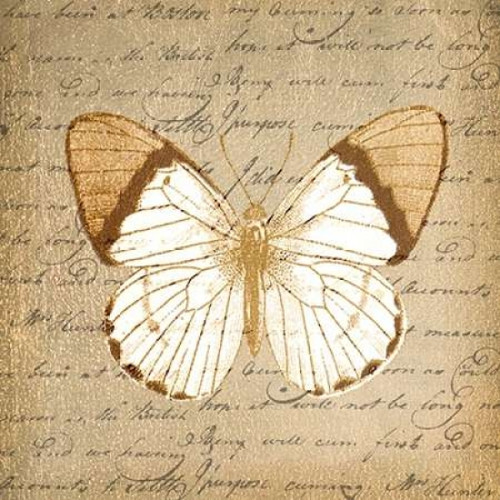 BUTTERFLY ON GOLD Poster Print by Taylor Greene (12 x 12) BUTTERFLY ON GOLD Poster Print by Taylor Greene (12 x 12)