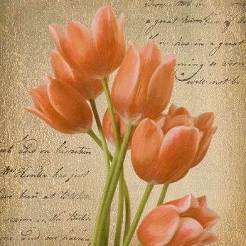 ORANGE TULIP I ON GOLD Poster Print by Taylor Greene (12 x 12)