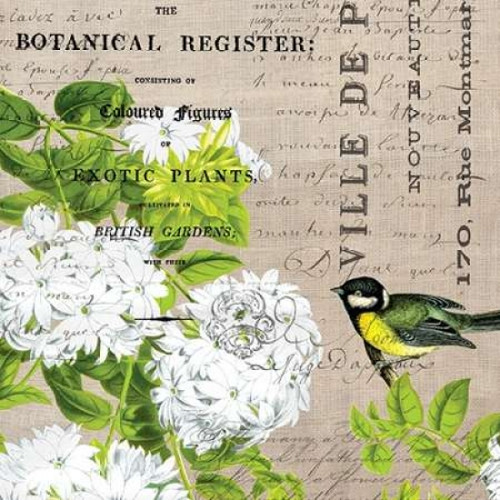 Botanical Register 2 Poster Print by Elizabeth Jordan (12 x 12)