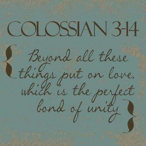 Colossians 3-14 Poster Print by Taylor Greene (12 x 12)