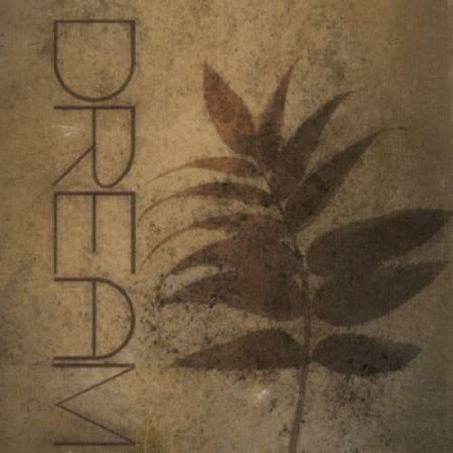 Silo Beauty Dream Poster Print by Taylor Greene (12 x 12)