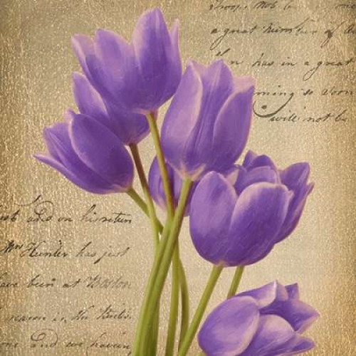 PURPLE TULIP I ON GOLD Poster Print by Taylor Greene (12 x 12)