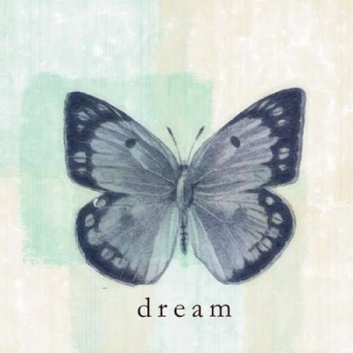 Butterfly Dream Poster Print by Taylor Greene (12 x 12) Butterfly Dream Poster Print by Taylor Greene (12 x 12)
