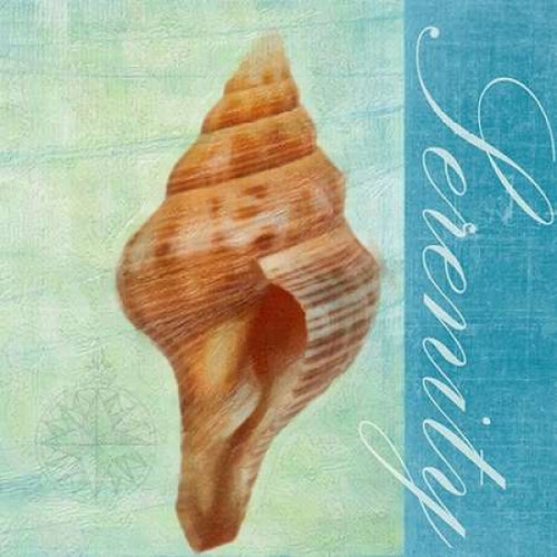 SERENITY Poster Print by Taylor Greene (12 x 12)